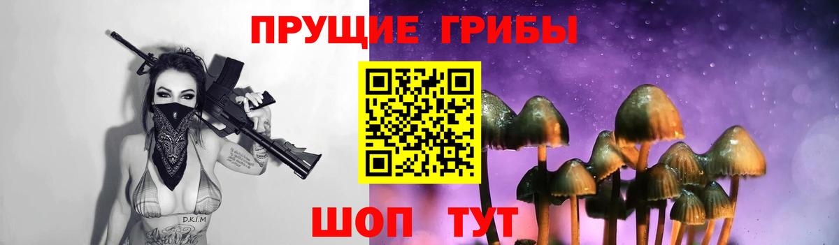 Псилоцибиновые грибы прущие грибы Кудрово