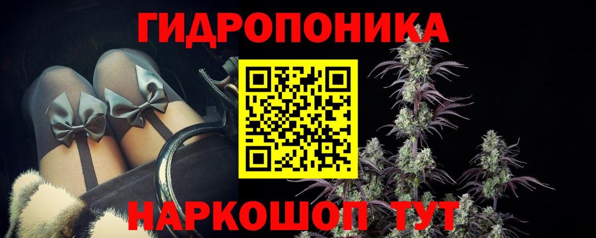 МАРИХУАНА Amnesia  Вход с VPN  Кудрово  Шишки марихуана индика 